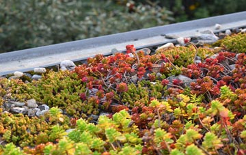 the cost of Green Side green roof installation