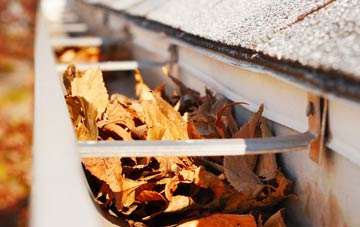 Green Side gutter cleaning companies