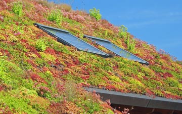 Green Side living roof systems