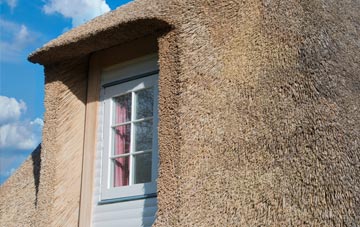 Green Side thatch roof disadvantages