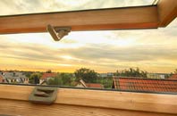rated Green Side roof window companies